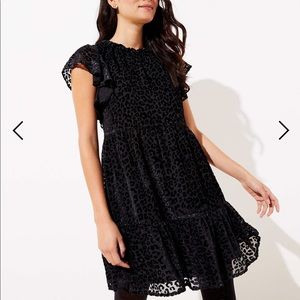 NWT Leopard Print Velvet Swing Dress